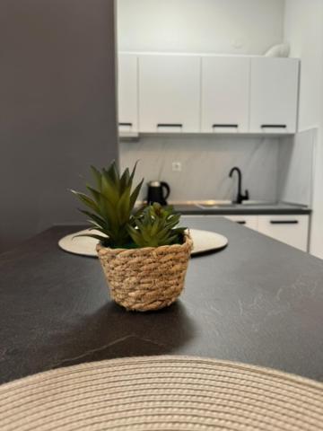 Damian'S Cozy Pool Apartment Peraía 외부 사진